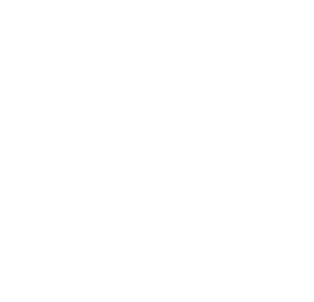 Hanken School of Economics